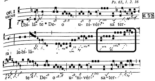 Image 10000000000001F40000010555024018721CC291.jpg