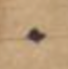 Image 100002010000004400000045409179C730FBFB89.png