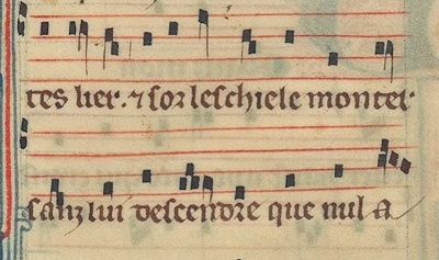 Image 1000000000000190000000ED49399E3F7A0496A3.jpg